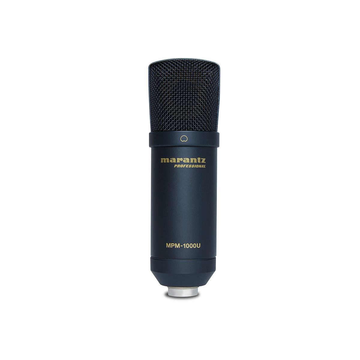 USB Large Diaphragm Condenser Microphone - Pole Mount