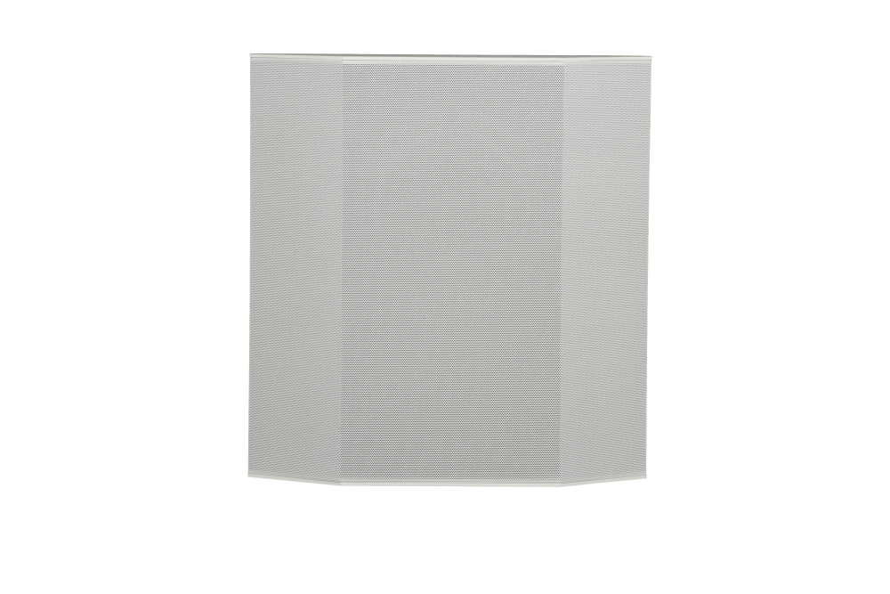 OnWall Silver Surround (standard bipole)