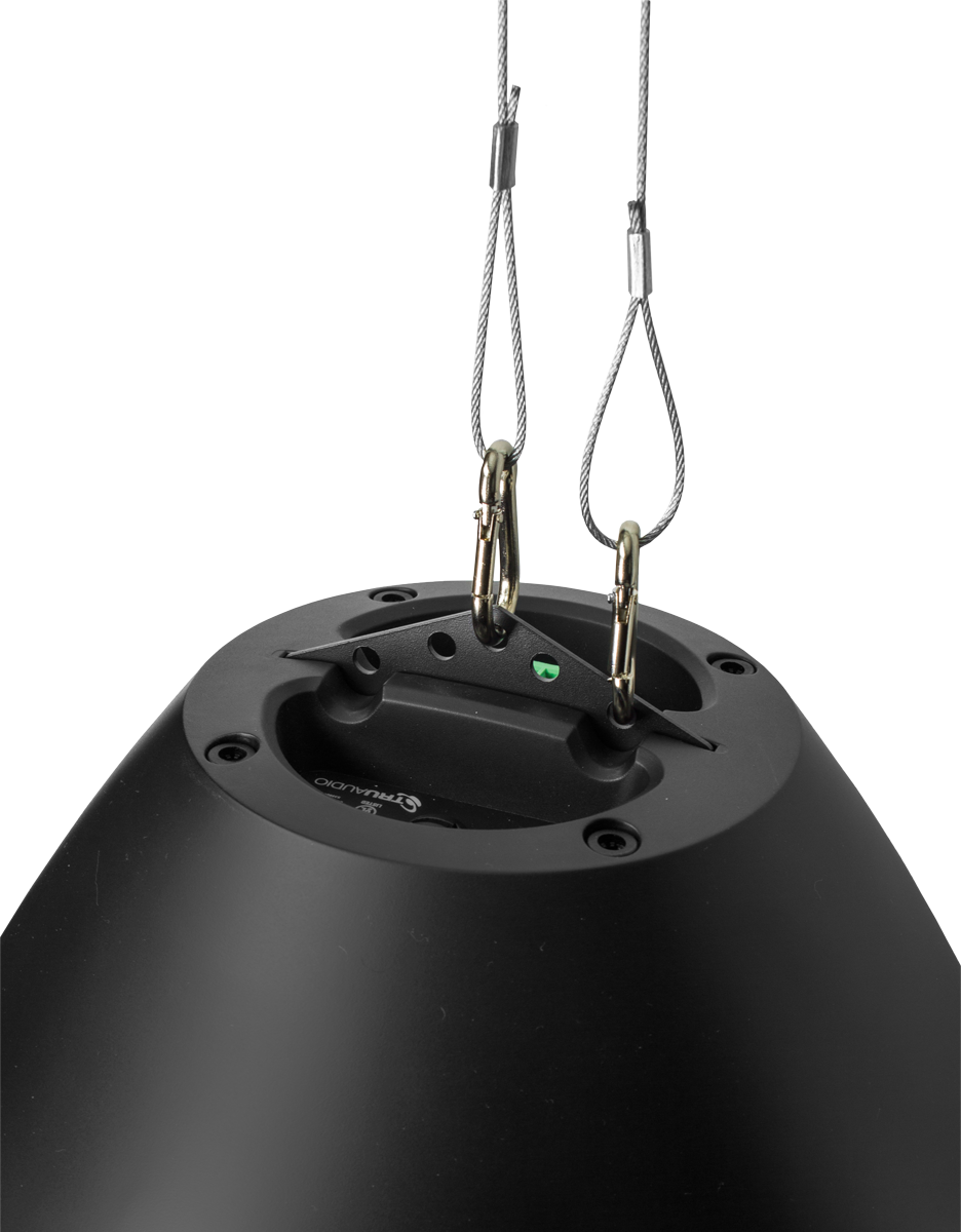 BeatDrop 70V-100V-8 ohm 8in pendant speaker, Black