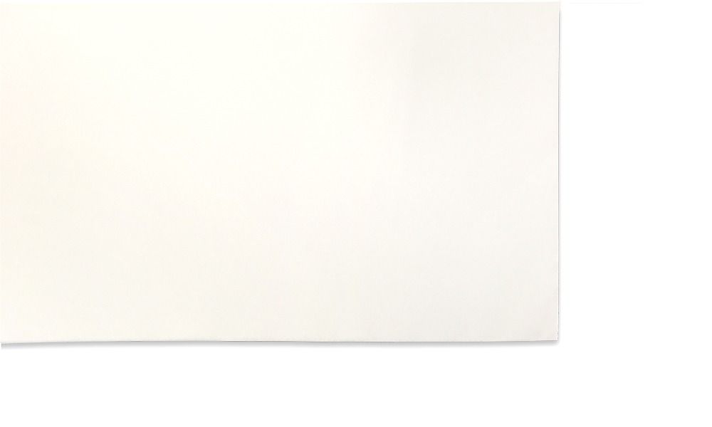 Fixed Frame White Screen, ISF, Edge Free Bezel - 100in