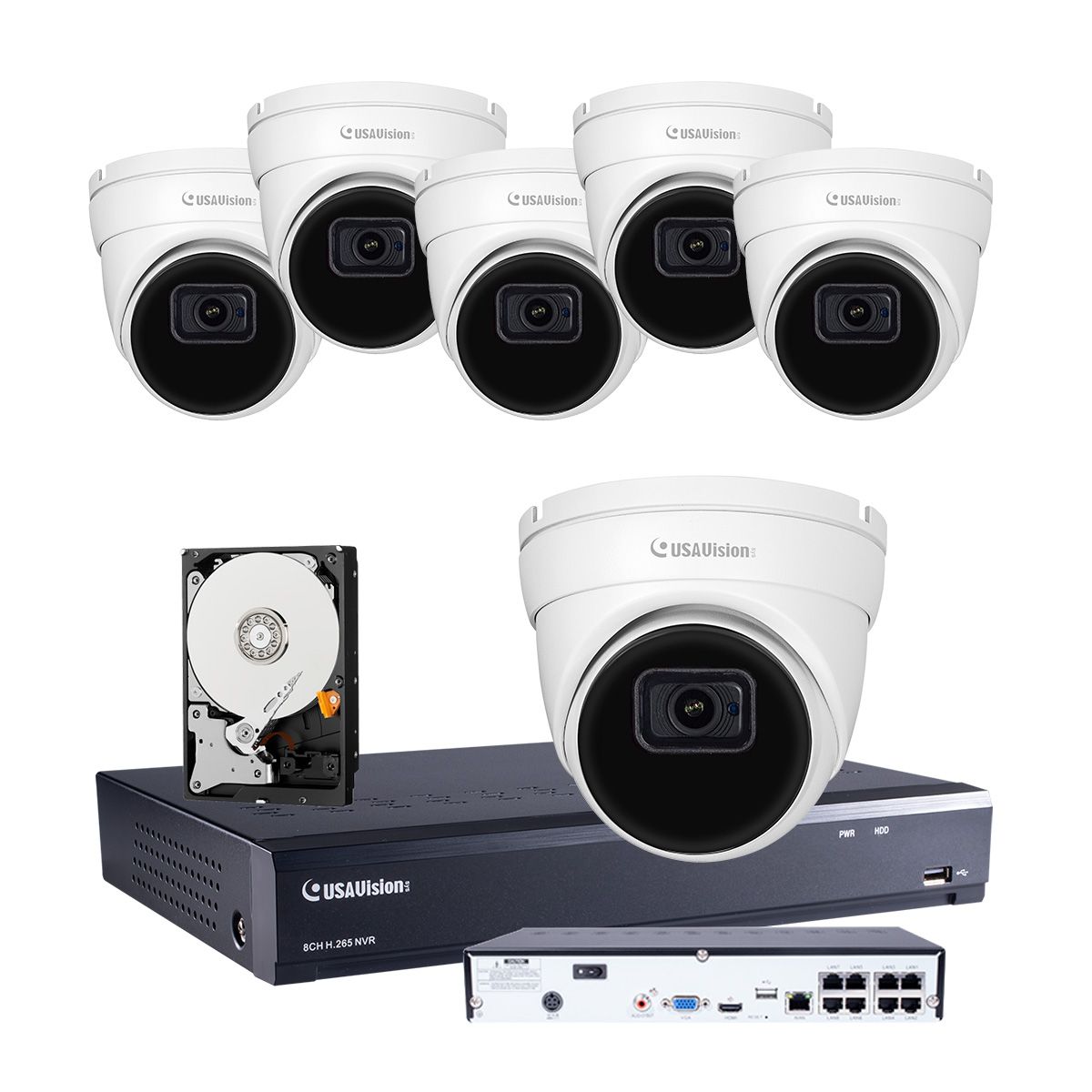 8ch NVR Bundle: 2TB HDD, 6x R500F2 EyeBall Camera