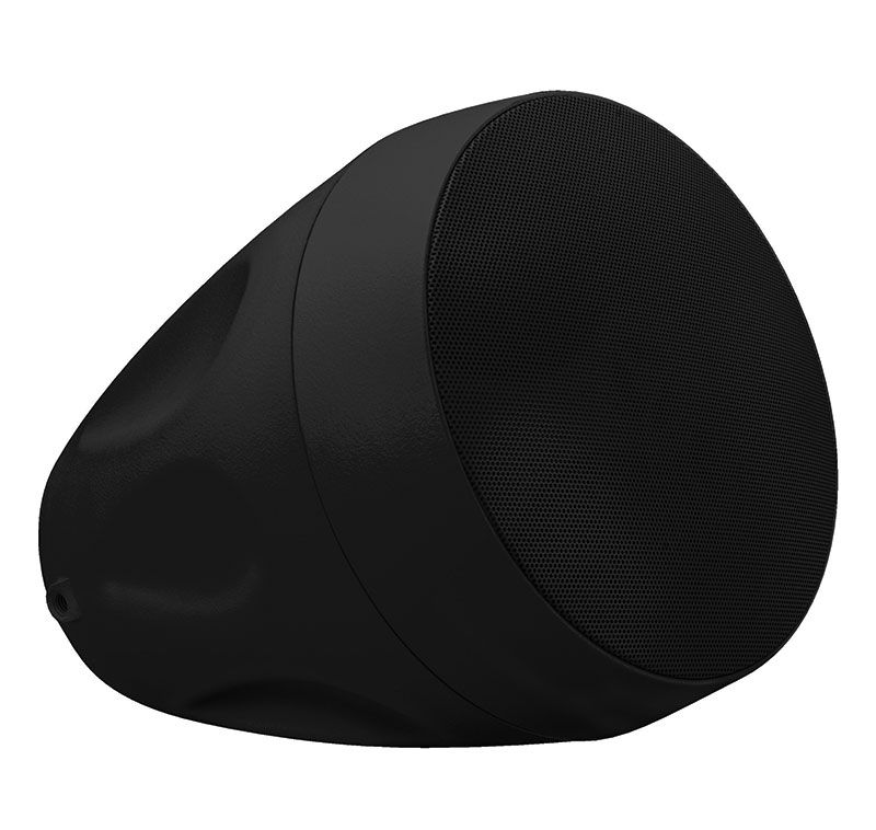 6.5 in 8 ohm-70V On-wall-Pendant, Indoor-Outdoor- Black