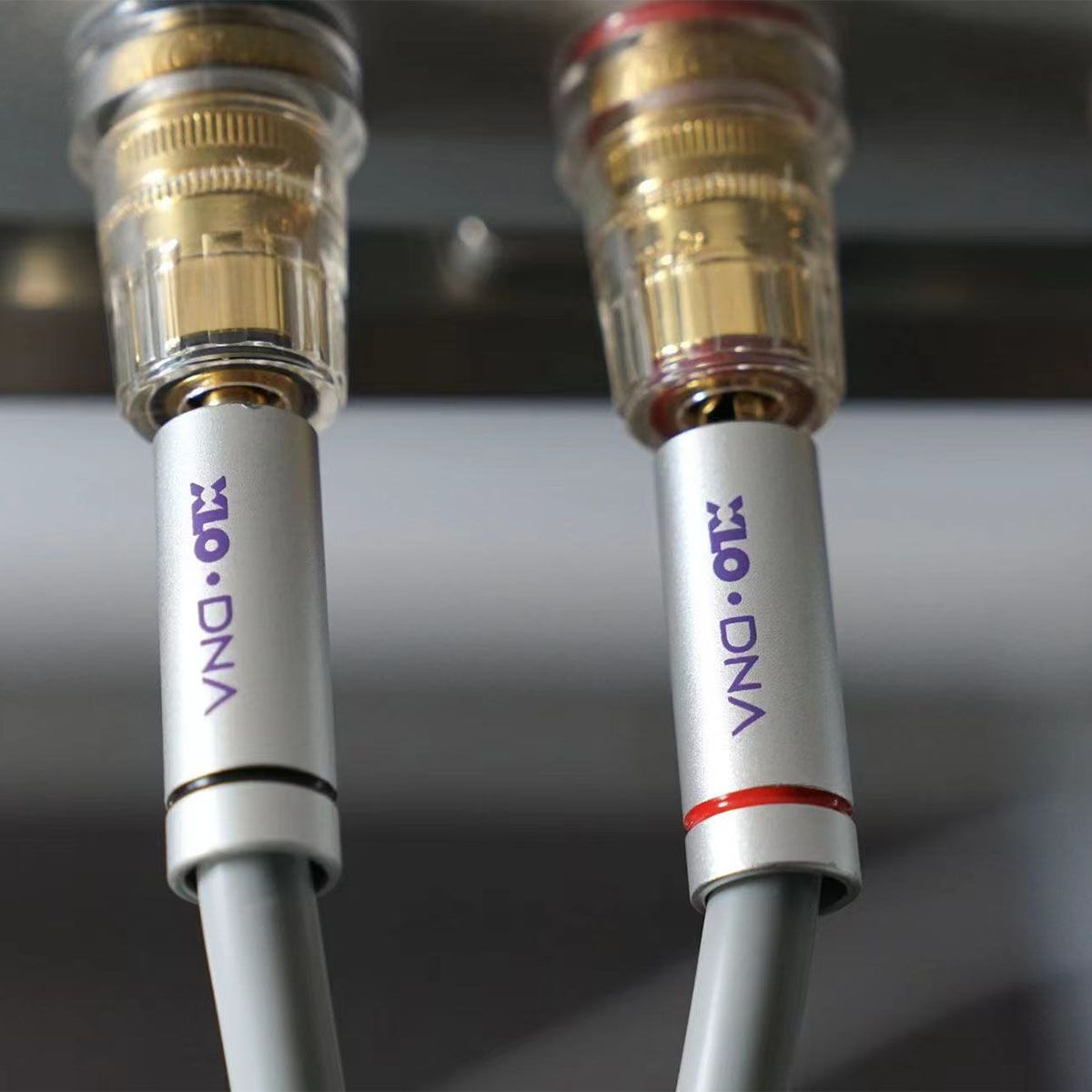 XLO DNA Speaker Wire w- Gold Bananas (Pair) 4.57m (15ft)
