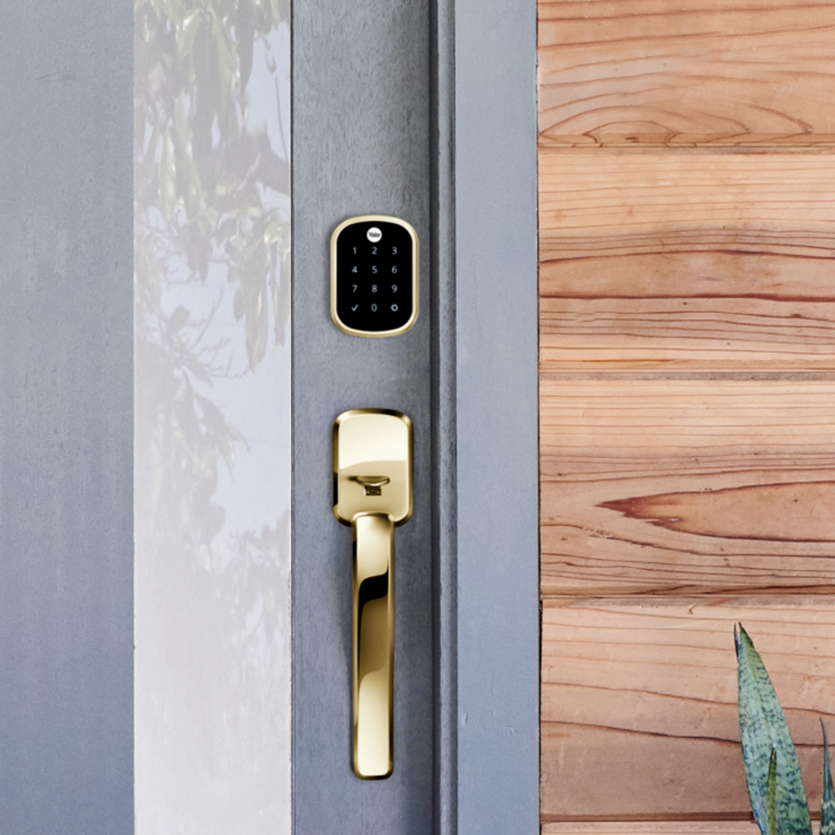 Assure Touchscreen Keyless Deadbolt w- Z-Wave, Polish Brass