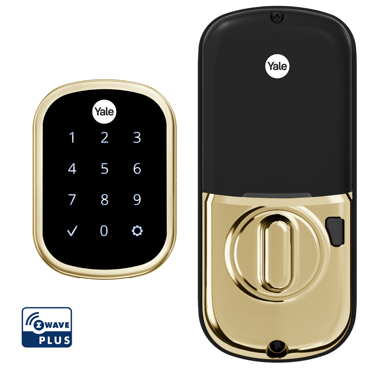 Assure Touchscreen Keyless Deadbolt w- Z-Wave, Polish Brass